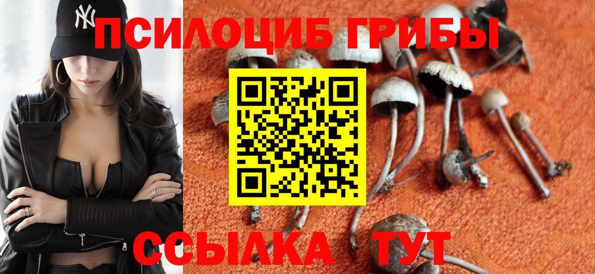 Кемерово  Псилоцибиновые грибы GOLDEN TEACHER  дарнет шоп  Вход с VPN 